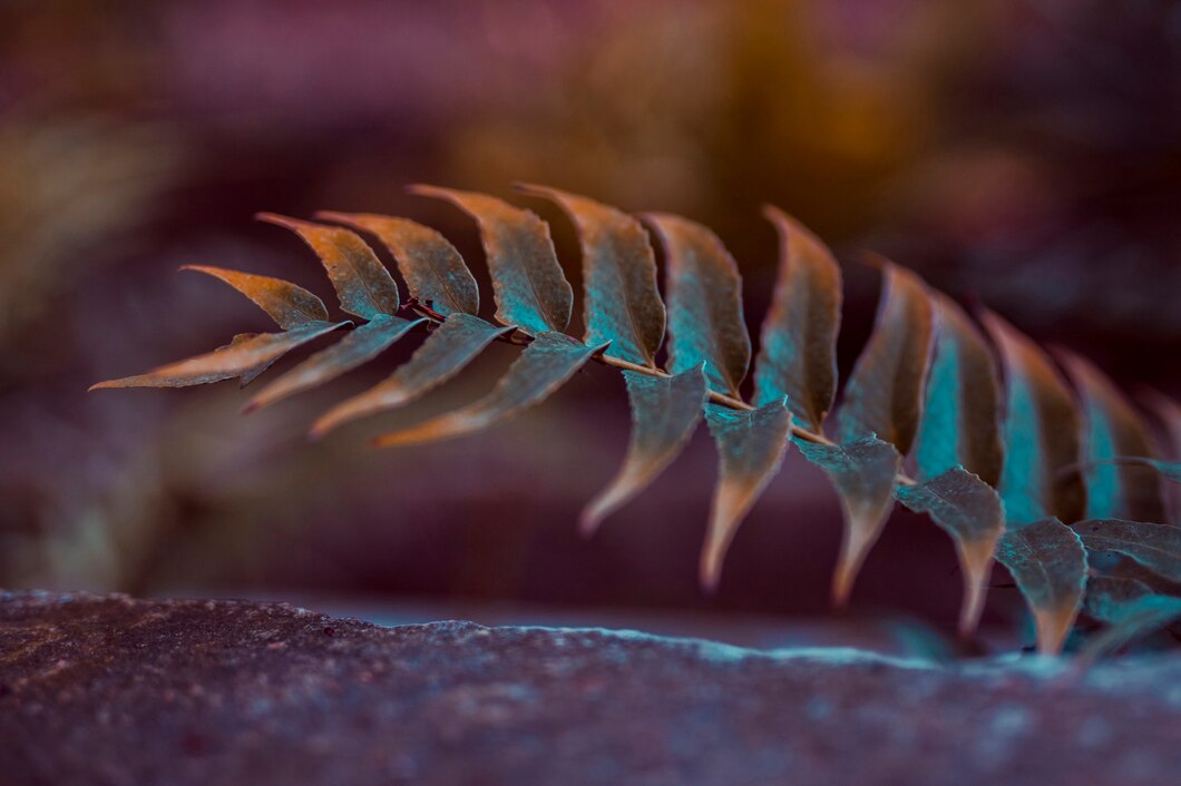 testing testionamalies Third